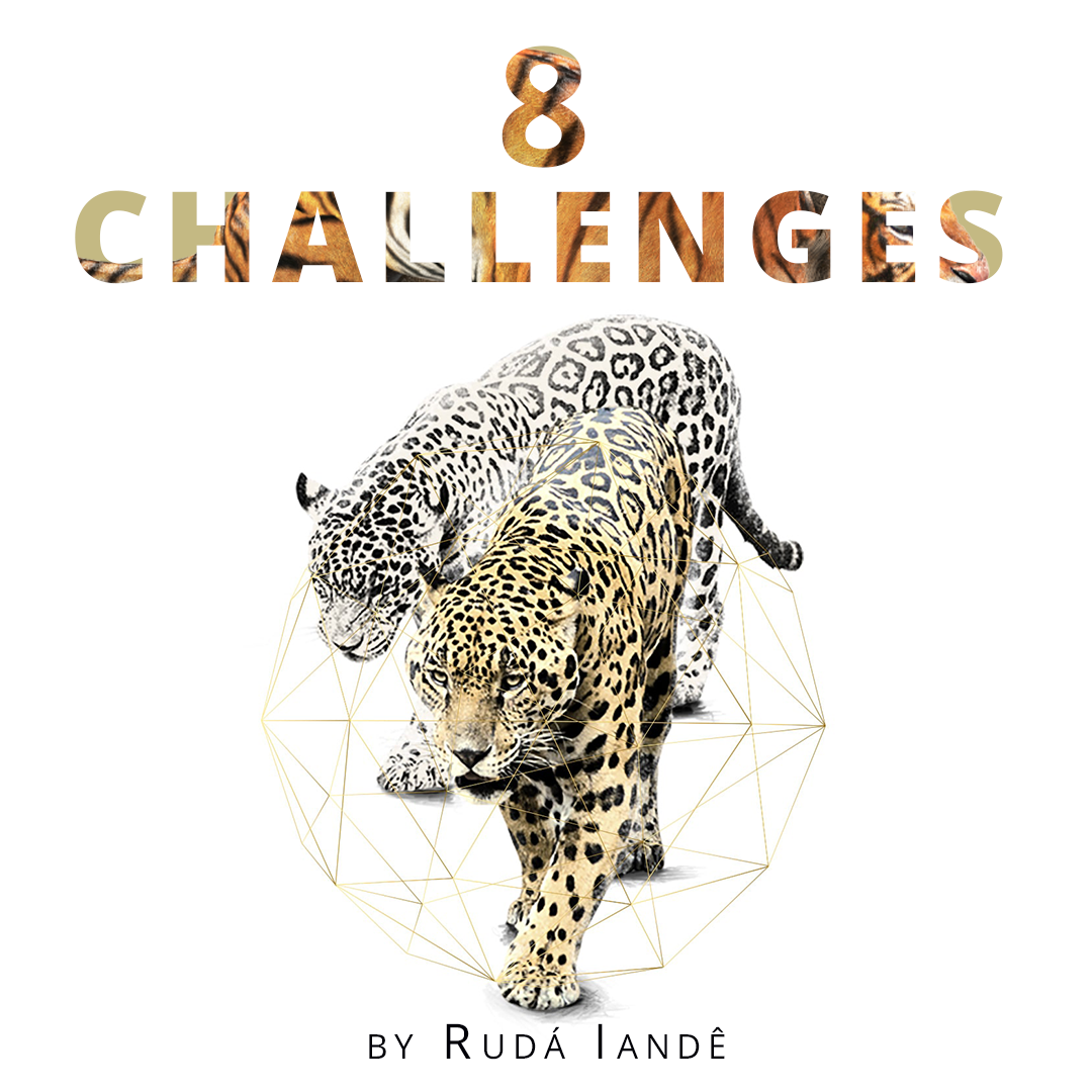 Challenges-1.0.png