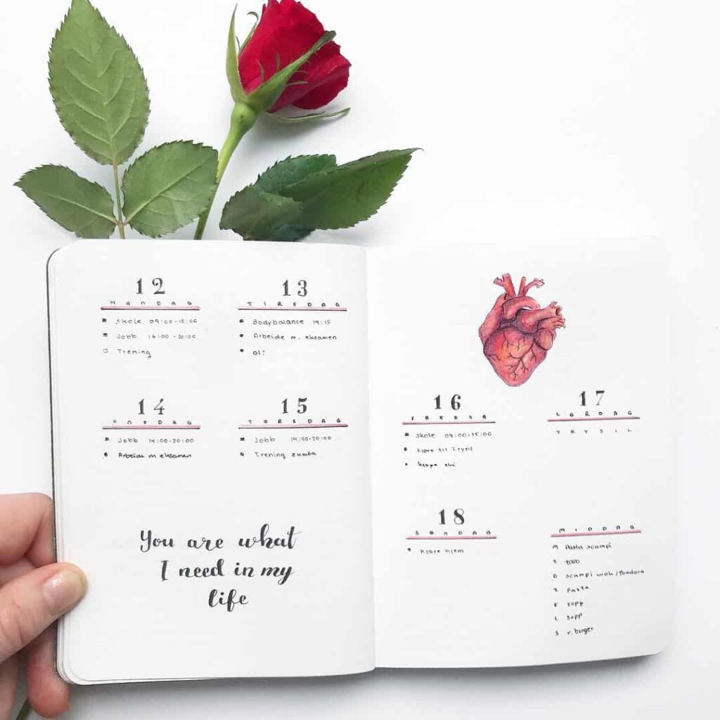 valentines day bullet journal theme