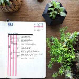 Project Management Bullet Journal