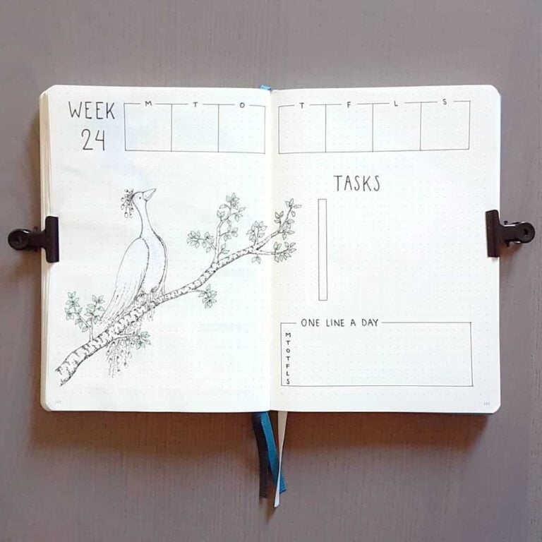 peacock inspired bullet journal spreads