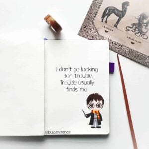 Spellbinding Harry Potter spreads