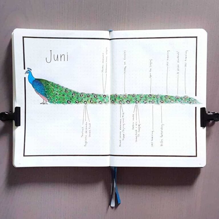peacock inspired bullet journal spreads