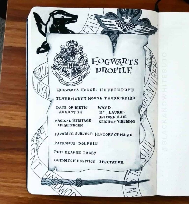 Harry Potter bullet journal layout
