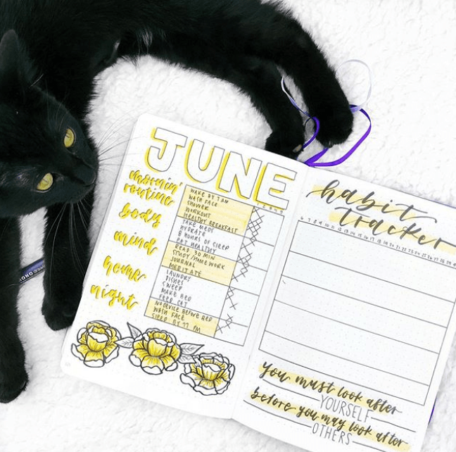 19 magnificent yellow spread