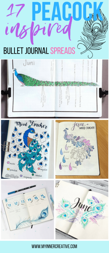 peacock inspired bullet journal spreads