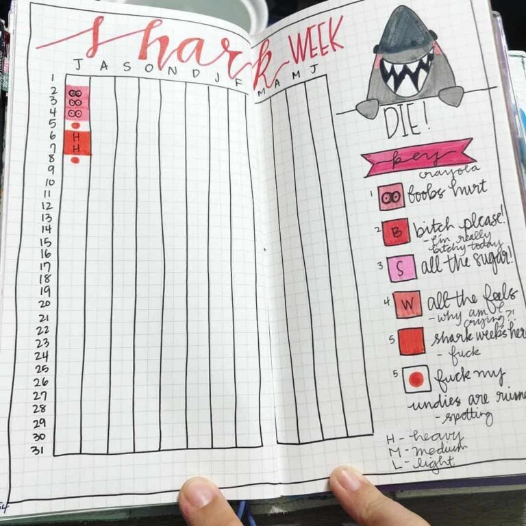 bullet journal period tracker layout ideas