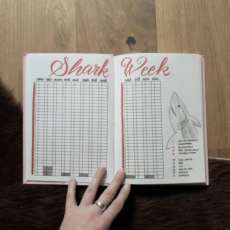 bullet journal period tracker layout ideas