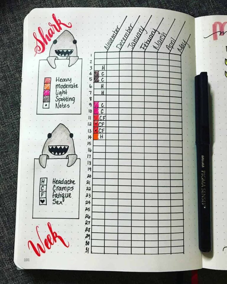 bullet journal period tracker layout ideas