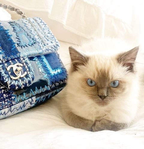 The Best Fashion Brands To Buy Vintage The Best Fashion Brands To Buy Vintage