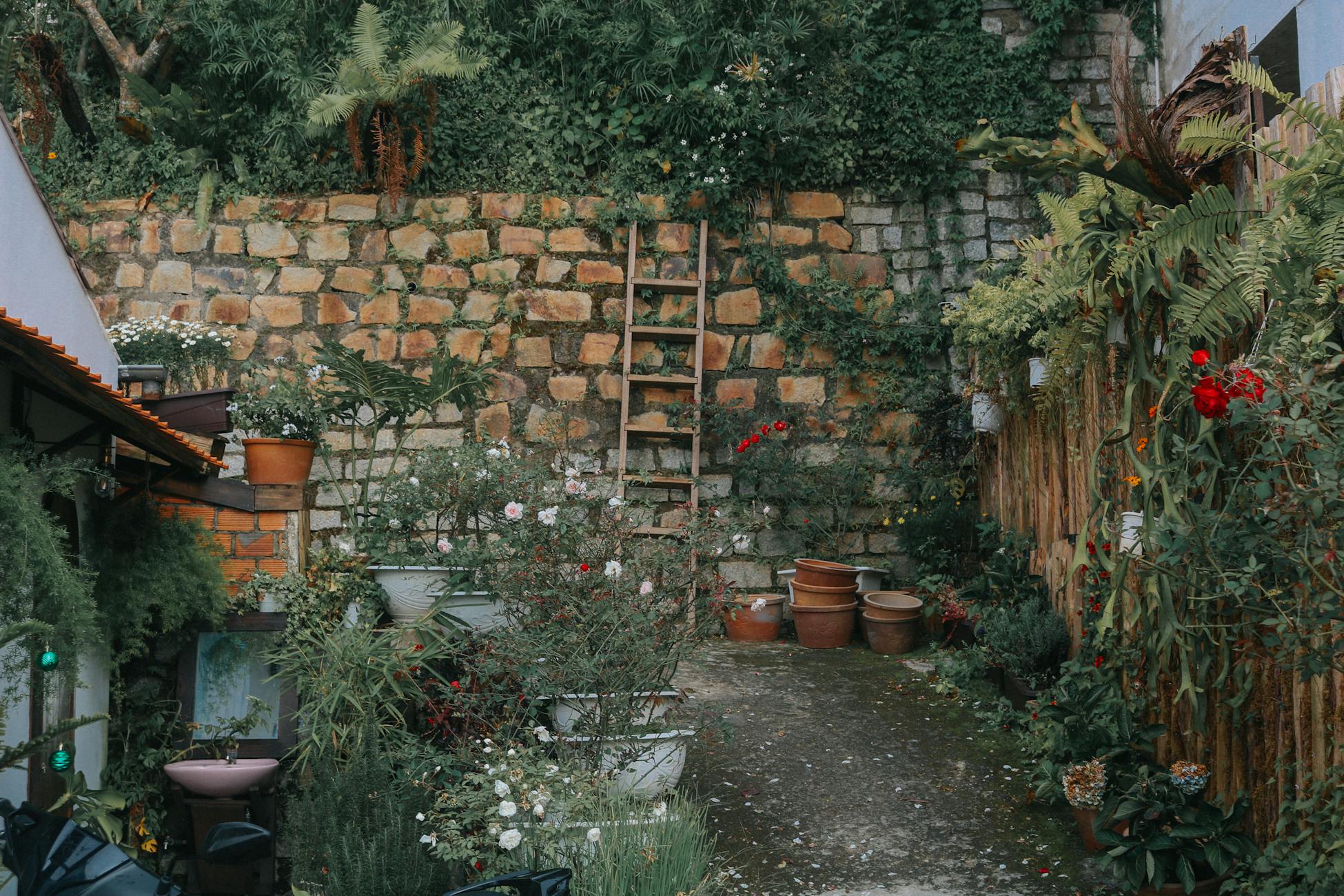 Lush garden courtyard with stone wall and plants in Đà Lạt, Vietnam.