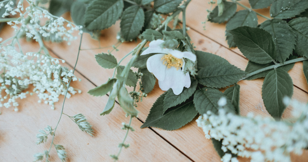 70 floral bullet journal spreads: how decoration becomes part of the practice