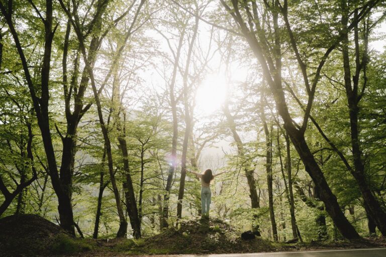 A woman stands with open arms embracing sunlight among tall trees in a lush forest.