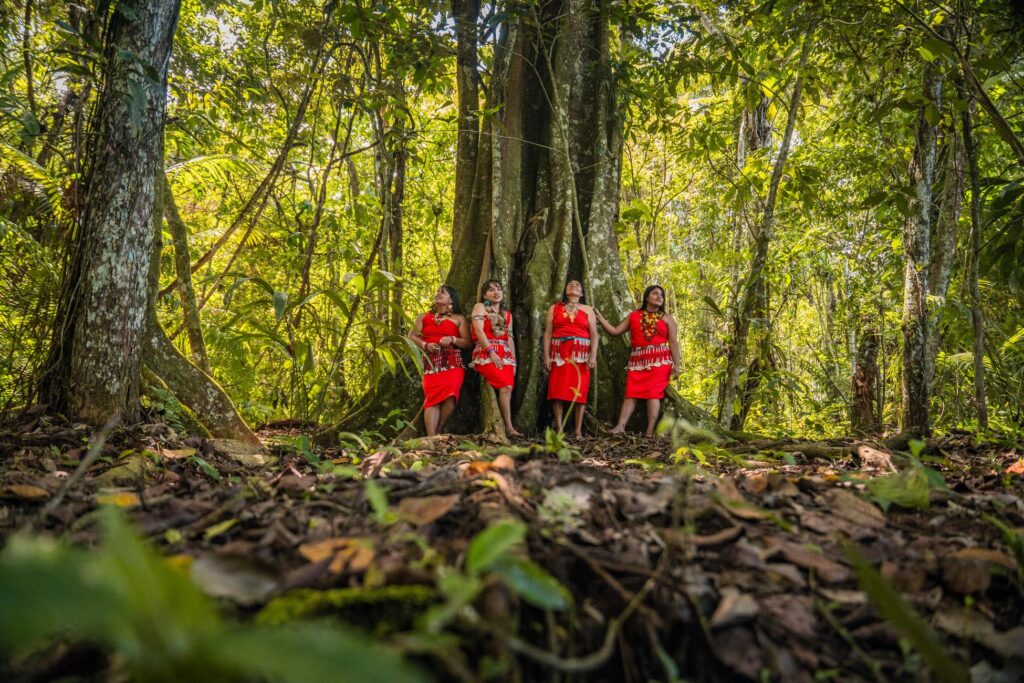The Forest Was Right All Along: On What Ecology Learns When It Stops Translating the Shaman